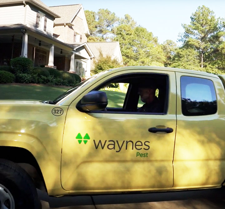 A side view of a technician sitting in a yellow Waynes Pest company pickup truck that is parked in the driveway of a home.